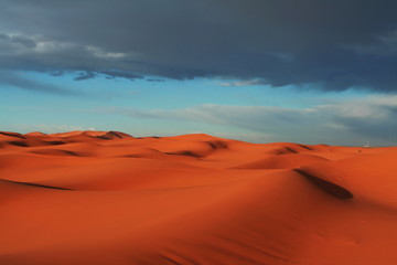 Desert