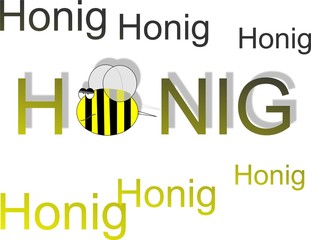 Honig-Biene © Corrie