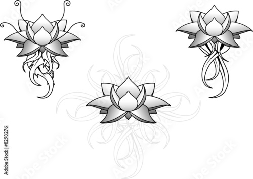 Fleur De Lotus Stock Photo And Royalty Free Images On