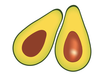 Avocado illustration
