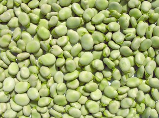 broad beans green
