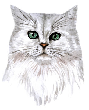 cat in watercolor