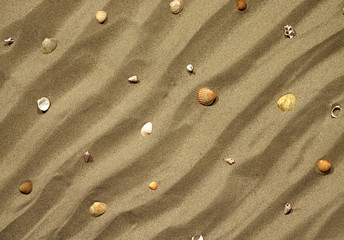 sabbia