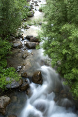Mountain stream