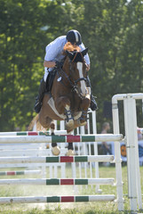 Springreiten