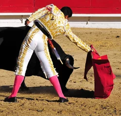 Printed kitchen splashbacks Bullfighting Matador Leading Bull