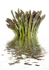 Spargel