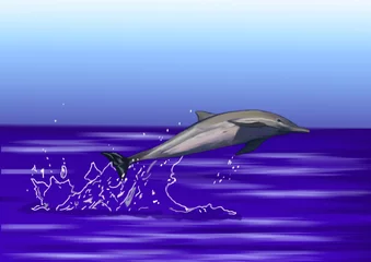 Fototapeten Delphin im Meer © Danys83