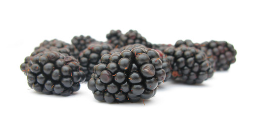 Blackberries
