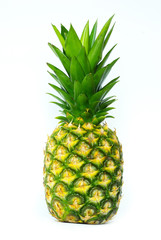 Fototapeta premium fresh pineapple
