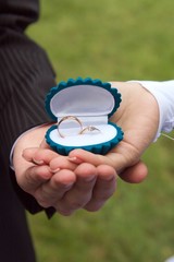 Groom and bride hold rings