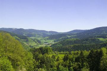 Obraz premium Schwarzwald
