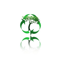 RECICLEMOS © rondabroc.com