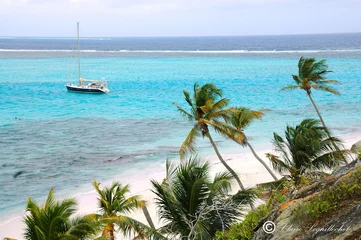 Papier peint photo  tobago cases  © Claire Leguillochet