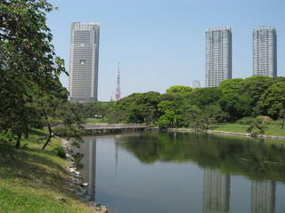 contraste japonais