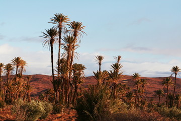 Fototapeta na wymiar Moroccan landscapes