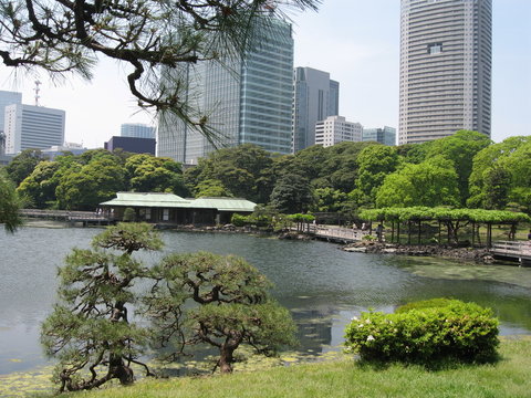 contraste japonais