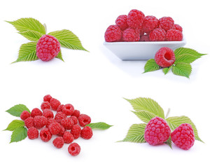 Himbeere - raspberries