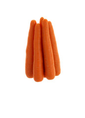 carrot