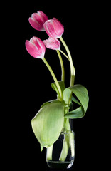vaso di tulipani