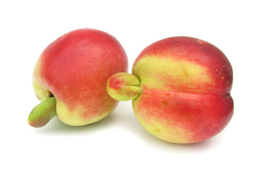 Nectarine crazy genetic variation 