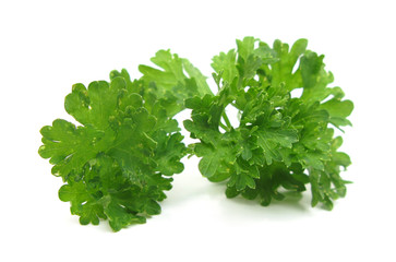 Parsley fresh leaves isolated on white background © Uros Petrovic