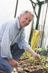 Fototapeta premium Man in greenhouse holding shovel smiling