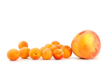 One peach and few apricots