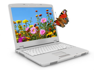 White notebook, flowerses and butterfly