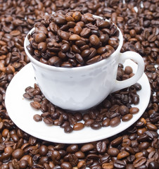 The cup of coffee and beans 9  