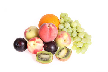Fruit