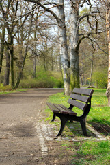 Banch in the park