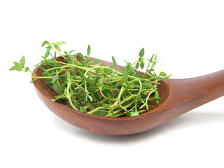 Thyme common fresh leaves in wooden spoon