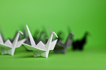 Origami cranes