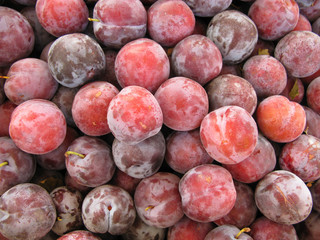Plums 