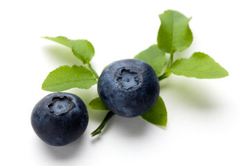 Blueberries © Kati Finell