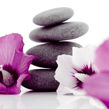 pebble with ibiscus flower