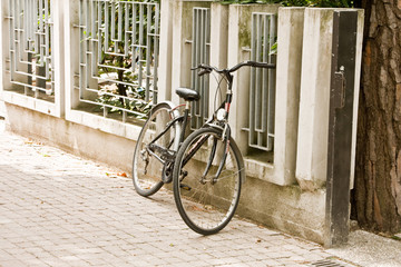 bicycle