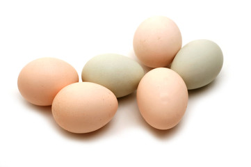 home eggs from village on white background