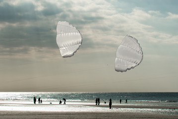 White kites over beach and ocean with backlight