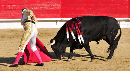 Photo sur Aluminium Tauromachie Matador Leading Bull