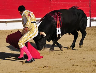 Photo sur Plexiglas Tauromachie Matador & Bull