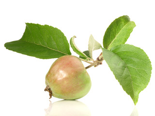 Unreifer Apfel