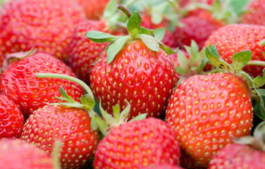 close-up strawberries