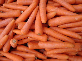 Carottes