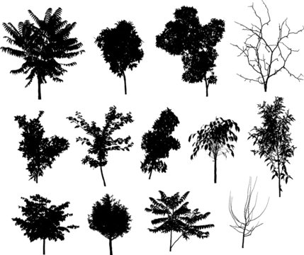 trees silhouette elements for design