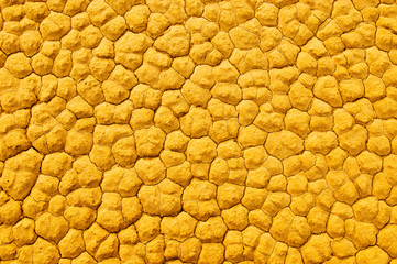 Texture of cracked soil, Death Valley, California