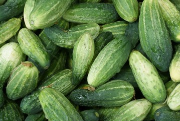 green cucumbers