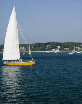 Yellow Sail Boat with reflection in water