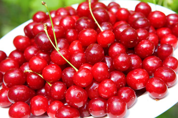 red cherry